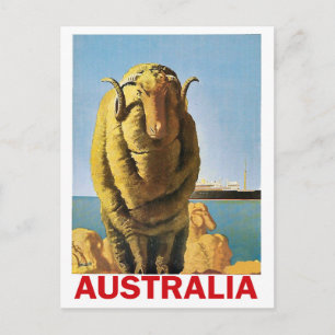 Australië, schapen aan de kust briefkaart