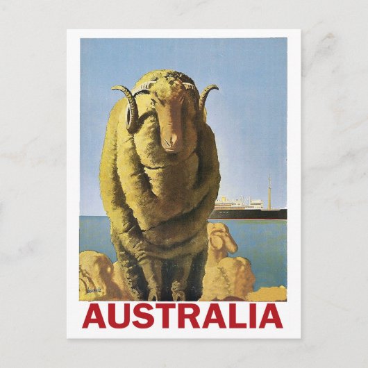 Australië, schapen aan de kust briefkaart (Voorkant)