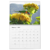 Australië Schilderachtig Kalender 2021 (Feb 2027)