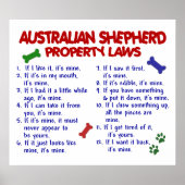 AUSTRALIË SHEPHERD PL2 POSTER (Voorkant)