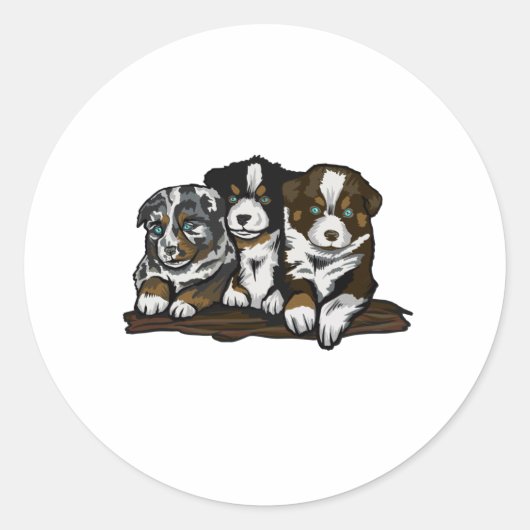 AUSTRALIË SHEPHERD PUPPIES RONDE STICKER (Voorkant)