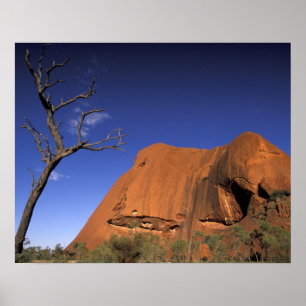 Australië, Uluru Kata Tjuta National Park, Uluru Poster