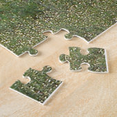 Australië: Vader emu en kuikens, in de rug Legpuzzel (Zijkant)