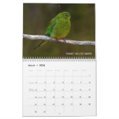 Australië vogels 2022 kalender (Mar 2026)