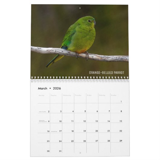 Australië vogels 2022 kalender (Mar 2026)