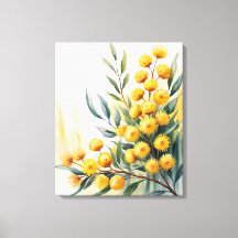 Australië — Waterverf Gouden Wattle