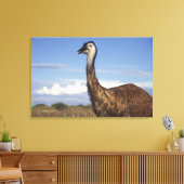 Australië, West-Australië. Emoe (Dromaius Canvas Afdruk (Insitu (Woonkamer))