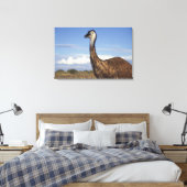 Australië, West-Australië. Emoe (Dromaius Canvas Afdruk (Insitu (Slaapkamer))