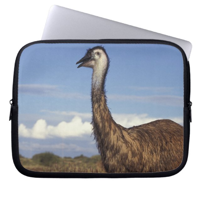 Australië, West-Australië. Emoe (Dromaius Laptop Sleeve (Voorkant)