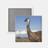 Australië, West-Australië. Emoe (Dromaius Magneet (Voorkant / Achterkant)