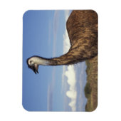 Australië, West-Australië. Emoe (Dromaius Magneet (Verticaal)
