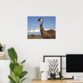 Australië, West-Australië. Emoe (Dromaius Poster (Thuiskantoor)