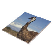 Australië, West-Australië. Emoe (Dromaius Tegeltje (Zijkant)