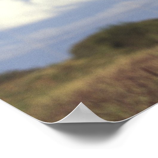 Australië, Western Australië. Emu (Dromaius) Poster (Hoek)