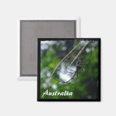 Australië, wilde natuur, spin (Magnet) Magneet (Voorkant / Achterkant)