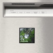 Australië, wilde natuur, spin (Magnet) Magneet (Insitu (Vaatwasser))