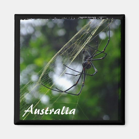 Australië, wilde natuur, spin (Magnet) Magneet (Voorkant)