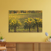 Australië, Zuid-Australië, Barossa-vallei, Canvas Afdruk (Insitu (Woonkamer))