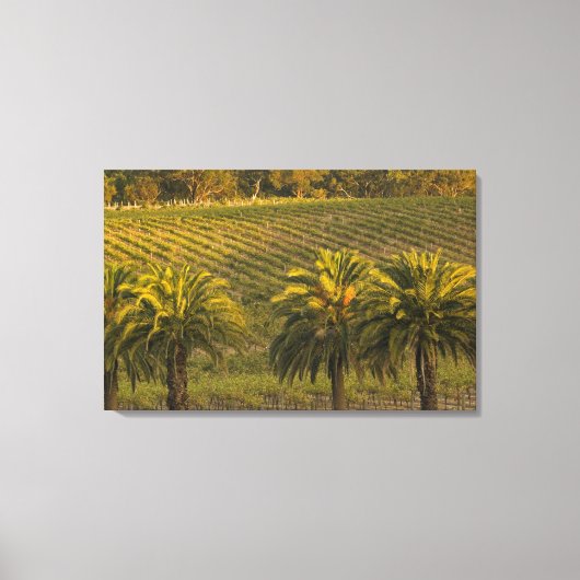 Australië, Zuid-Australië, Barossa-vallei, Canvas Afdruk (Voorkant)