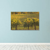 Australië, Zuid-Australië, Barossa-vallei, Canvas Afdruk (Insitu (Houten vloer))