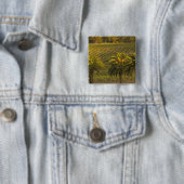 Australië, Zuid-Australië, Barossa-vallei, Vierkante Button 5,1 Cm (In situ)