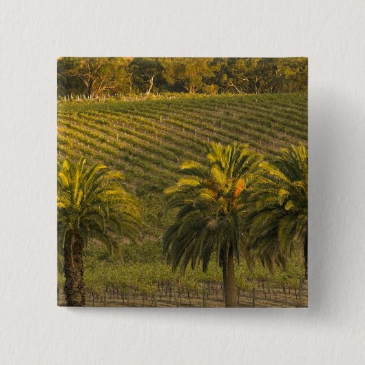 Australië, Zuid-Australië, Barossa-vallei, Vierkante Button 5,1 Cm (Voorkant)