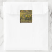 Australië, Zuid-Australië, Barossa-vallei, Vierkante Sticker (Tas)