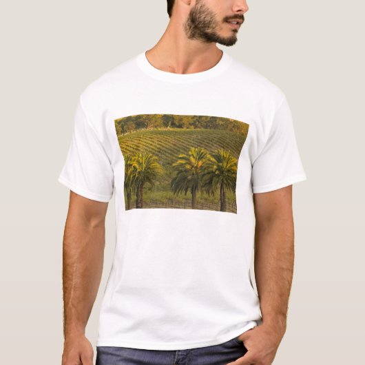 Australië, Zuid-Australië, Barossa Valley, T-shirt (Voorkant)