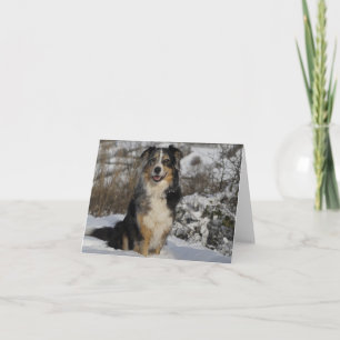 Australiër Shepherd Aussie Dog Hallo Love Kaart