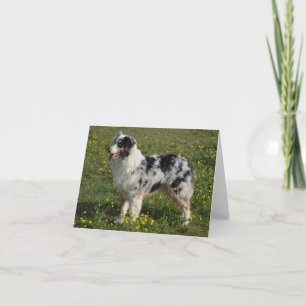 Australiër Shepherd Aussie Dog Hallo Love Kaart