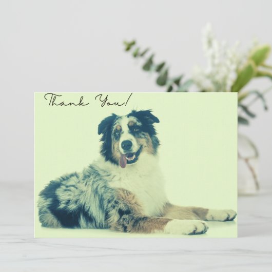 Australiër Shepherd Hartelijk dank Bedankkaart (Staand voorkant)