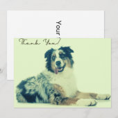 Australiër Shepherd Hartelijk dank Bedankkaart (Voorkant / Achterkant)