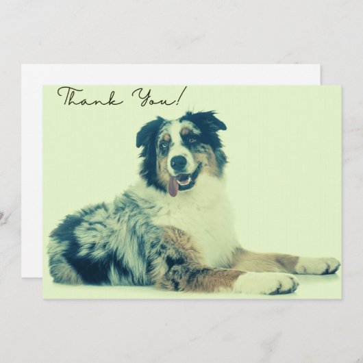 Australiër Shepherd Hartelijk dank Bedankkaart (Voorkant / Achterkant)