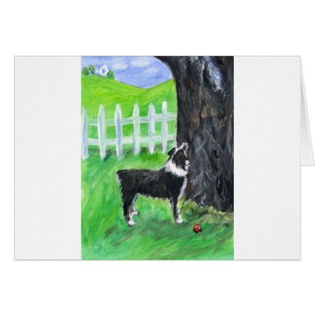 Australiër Shepherd ziet eekhoorn (Voorkant Horizontaal)