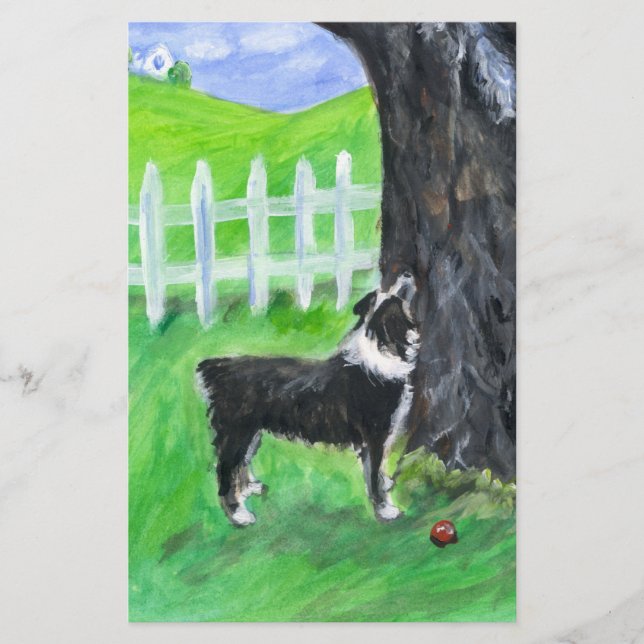 Australiër Shepherd ziet eekhoorn (Voorkant)