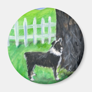 Australiër Shepherd ziet eekhoorn Magneet