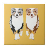 Australiër Shepherds 4-inch keramische tegel Tegeltje (Voorkant)