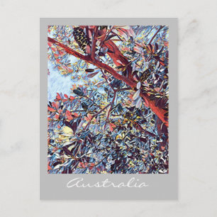 Australisch Banksia: inheems plant Briefkaart