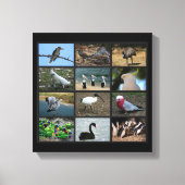 Australisch Birdwatchers Collage Canvas Afdruk (Voorkant)