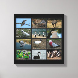 Australisch Birdwatchers Collage Canvas Afdruk