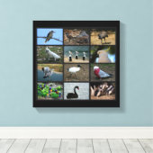 Australisch Birdwatchers Collage Canvas Afdruk (Insitu (Houten vloer))