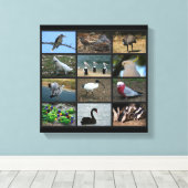 Australisch Birdwatchers Collage Canvas Afdruk (Insitu (Houten vloer))