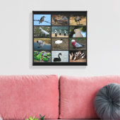 Australisch Birdwatchers Collage Canvas Afdruk (Insitu (Woonkamer))
