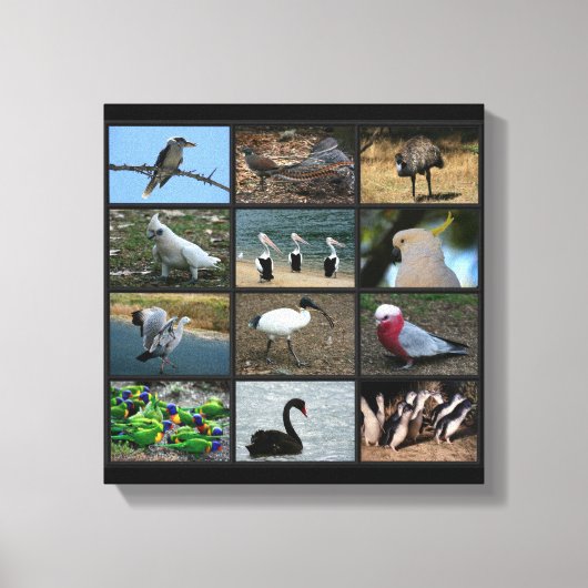 Australisch Birdwatchers Collage Canvas Afdruk (Voorkant)
