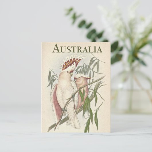  Australisch Briefkaart Galah (Staand voorkant)