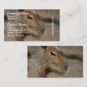Australisch Capybara Visitekaartjes (Voorkant / Achterkant)