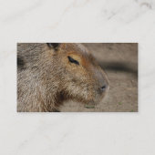 Australisch Capybara Visitekaartjes (Achterkant)