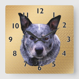 Australisch "Cattle Dog Portrait" Vierkante Klok