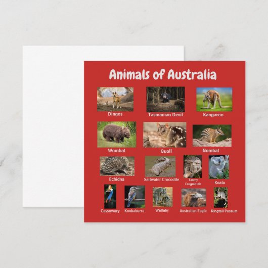 Australisch dier (Voorkant / Achterkant)