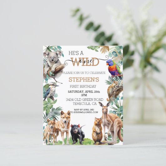 Australisch dier wild een verjaardag kangoeroe (Staand voorkant)